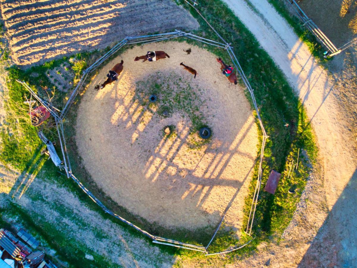Farm stay 